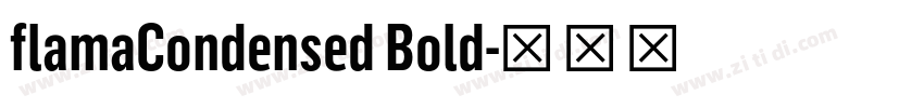 flamaCondensed Bold字体转换